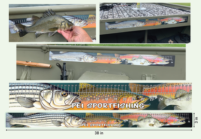 PEI Sport-Fishing - Adhesive Fish Tape