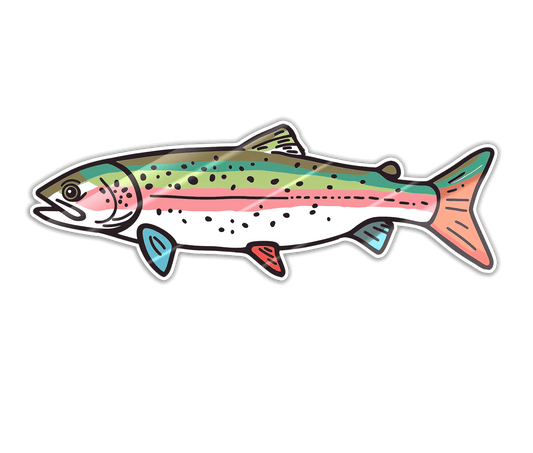 Trout-Rainbow-1