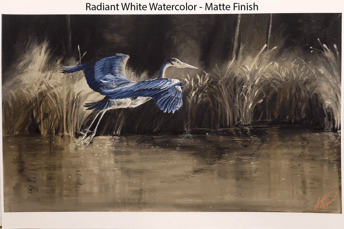 Blue Heron - PRINT